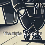 Irate Ninja Pool T-Shirt