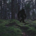 Bigfoot Rack 'em Pool T-Shirt