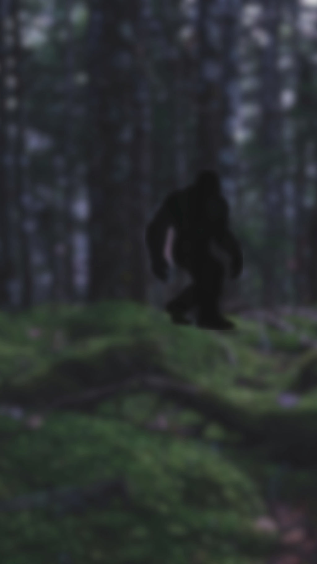 Bigfoot Rack 'em Pool T-Shirt