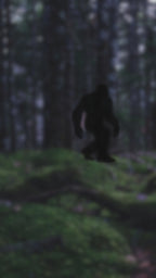 Bigfoot Rack 'em Pool T-Shirt